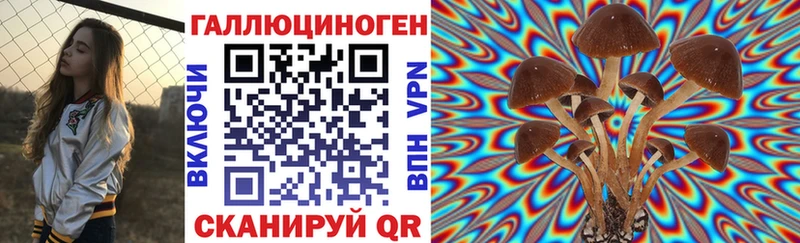 mega рабочий сайт где найти наркотики Ярославль Галлюциногенные грибы мицелий